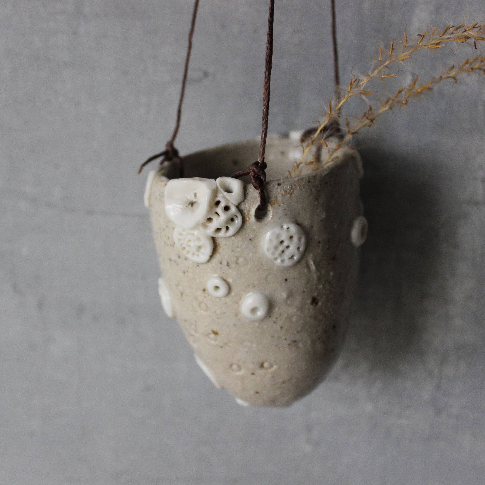 Hanging Pod Vases Coral