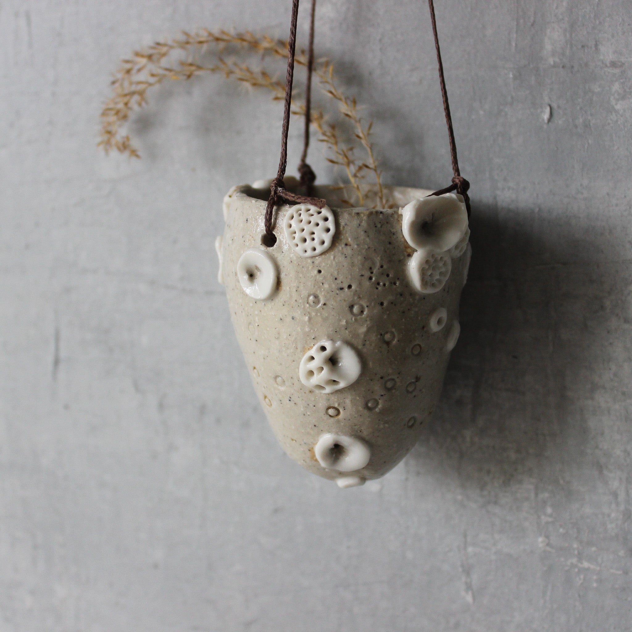 Hanging Pod Vases Coral