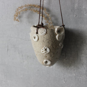 Hanging Pod Vases Coral
