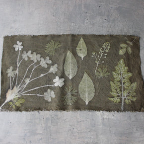 Botanical Eco Print Linen Panel Placemats Wood Sorrel
