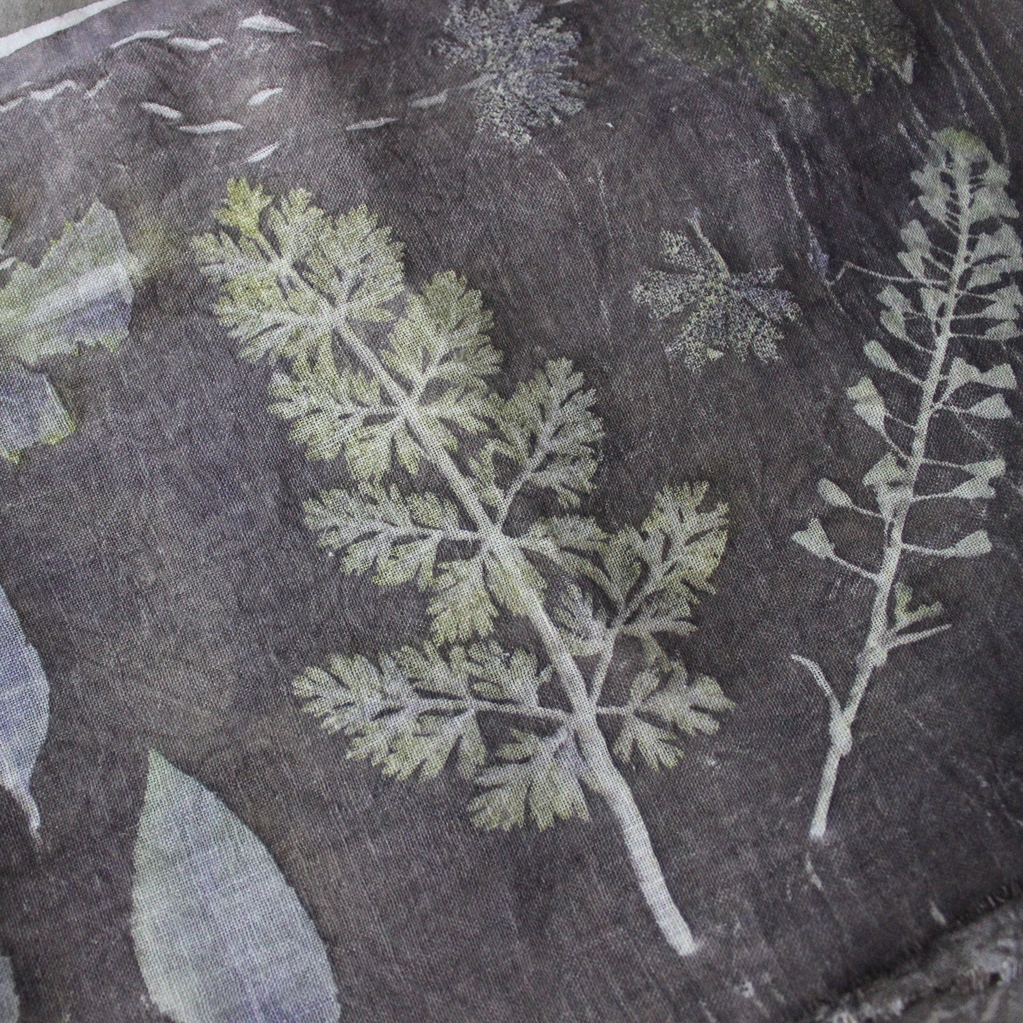 Botanical Eco Print Linen Panel Placemats Wood Sorrel