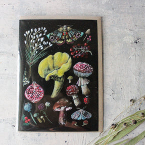 Anna Pignataro Card 'Natives, Moths & Mushrooms'