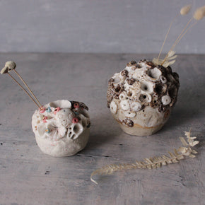Rock Coral Collection Keeper Paperweight #4