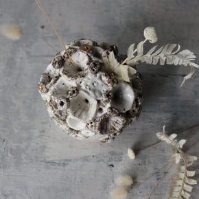 Rock Coral Collection Keeper Paperweight #3