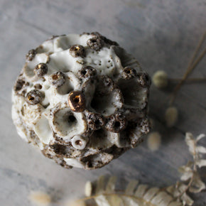 Rock Coral Collection Keeper Paperweight #3