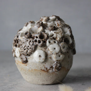 Rock Coral Collection Keeper Paperweight #3