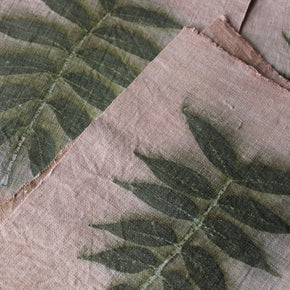 Eco Print Specimen Panels : Chinese Pistachio