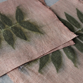 Eco Print Specimen Panels : Chinese Pistachio