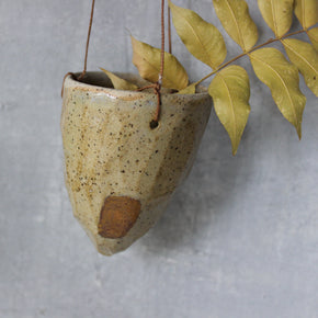 Hanging Pod Vases