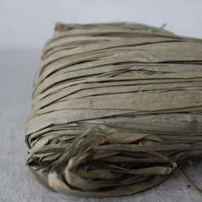 Raffia Coloured : Nutscene