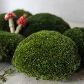 Preserved Ball Moss Stones