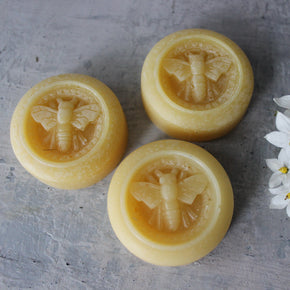 Tasmanian Beeswax Bees
