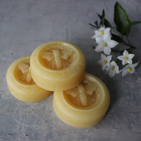 Tasmanian Beeswax Bees