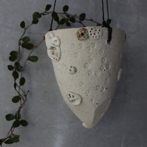 Hanging Pod Vases Coral