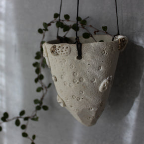 Hanging Pod Vases Coral