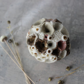 Rock Coral Collection Keeper Paperweight #5