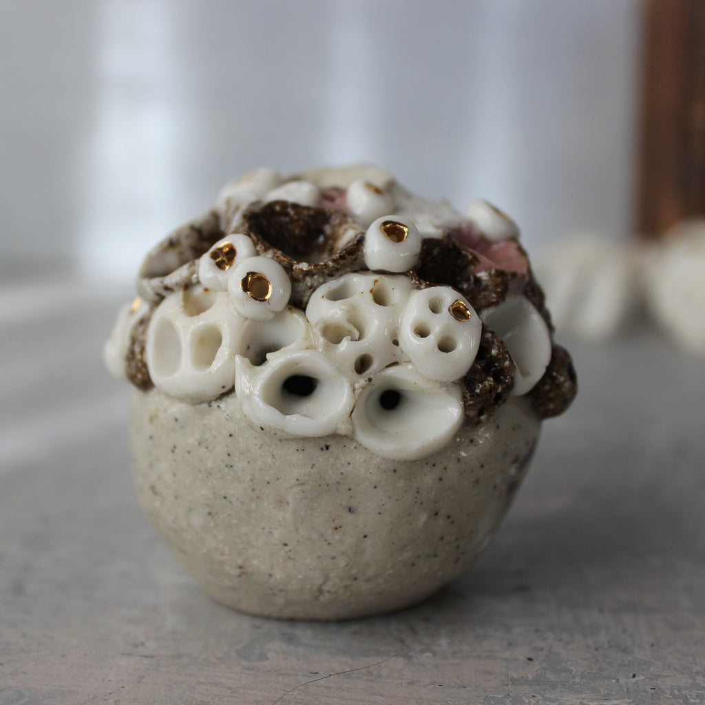 Rock Coral Collection Keeper Paperweight #5