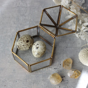 Little Brass Hexagonal Box