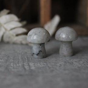 Crystal Mushrooms
