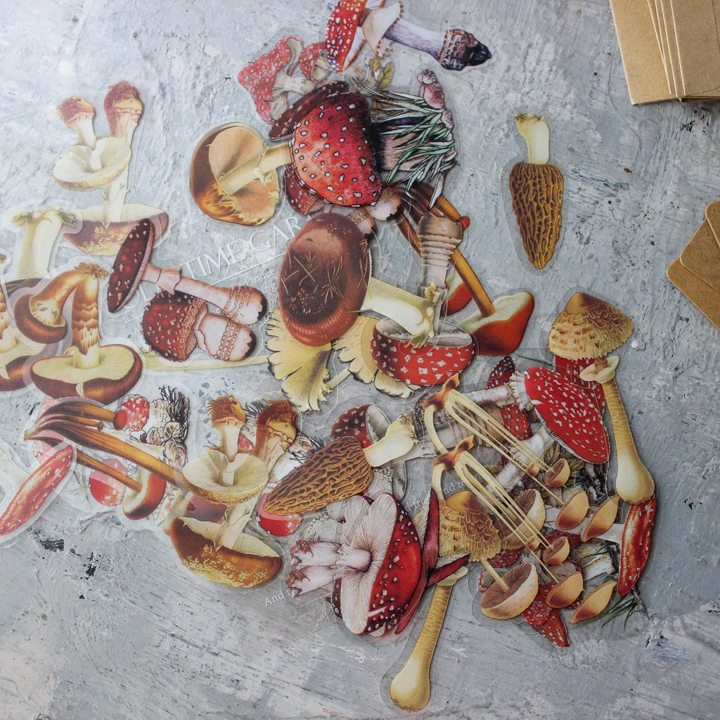 Toadstool Sticker Pack (Clear Vinyl)