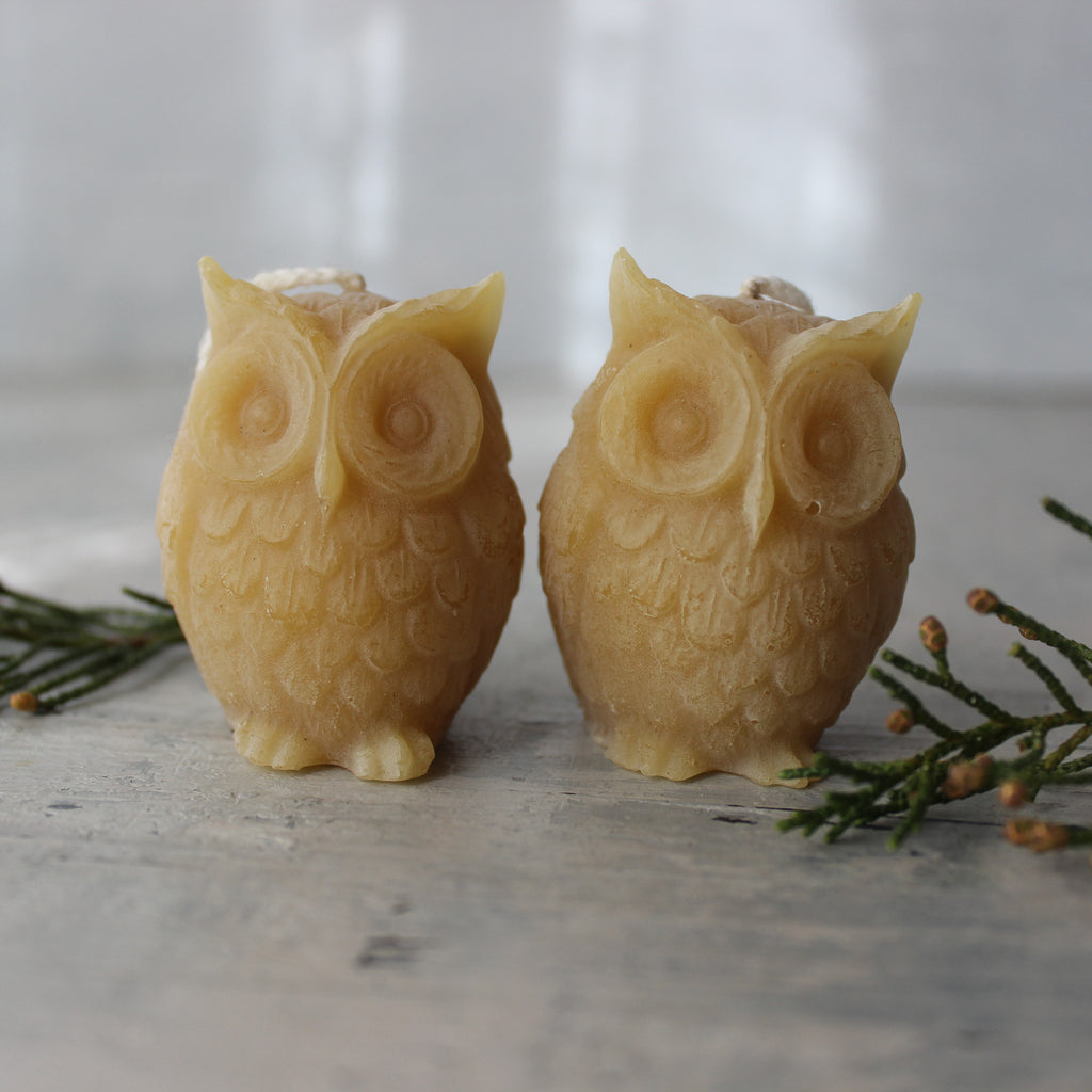 Baby Owl Beeswax Candles