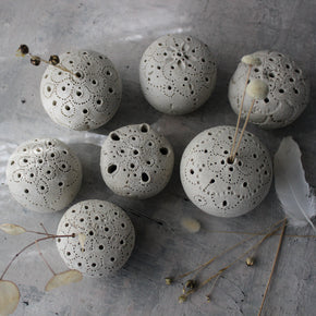 Sea Urchin Incense Holder / Specimen Keepers