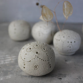 Sea Urchin Incense Holder / Specimen Keepers