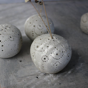 Sea Urchin Incense Holder / Specimen Keepers
