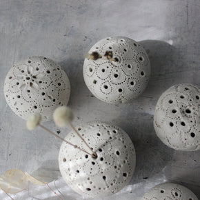 Sea Urchin Incense Holder / Specimen Keepers
