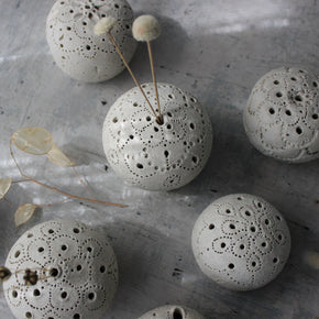 Sea Urchin Incense Holder / Specimen Keepers