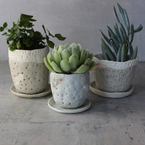 Marbled Ceramic Planter & Saucer Sets