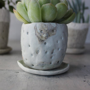 Marbled Ceramic Planter & Saucer Sets