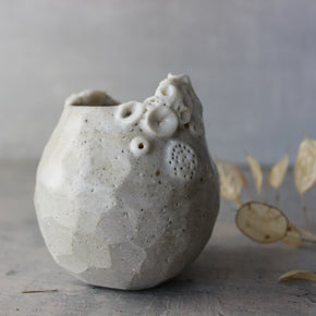 Rock Coral Vase