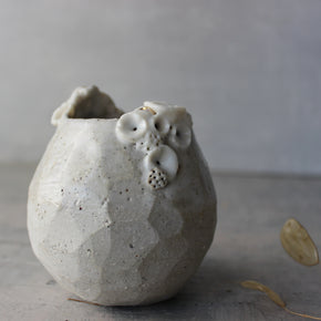 Rock Coral Vase