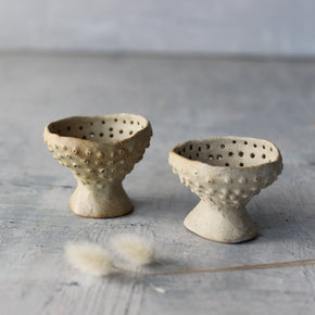 Little Fungi Vessels
