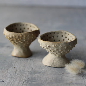 Little Fungi Vessels