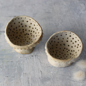Little Fungi Vessels