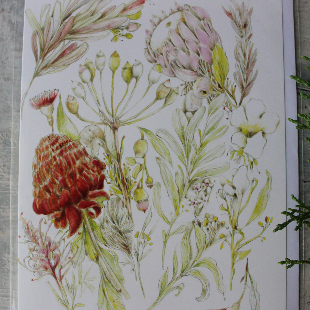 Anna Pignataro Card Australian Native Flowers - Tribe Castlemaine