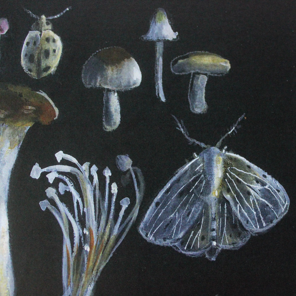 Anna Pignataro Card Moth & Mushroom - Tribe Castlemaine