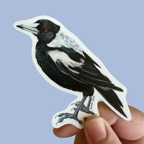 Anna Seed Vinyl Stickers - Tribe Castlemaine