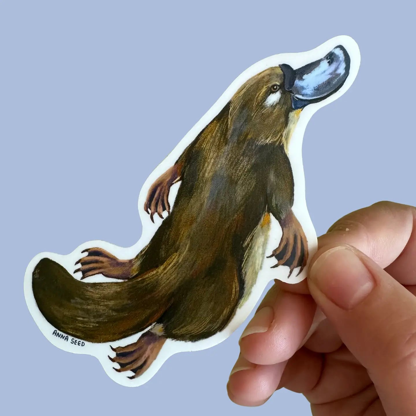 Anna Seed Vinyl Stickers - Tribe Castlemaine