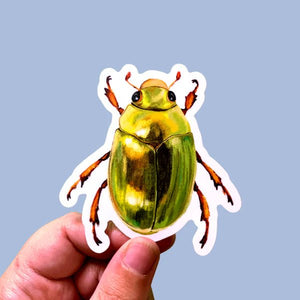 Anna Seed Vinyl Stickers - Tribe Castlemaine