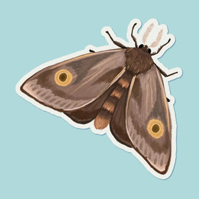 Anna Seed Vinyl Stickers - Tribe Castlemaine