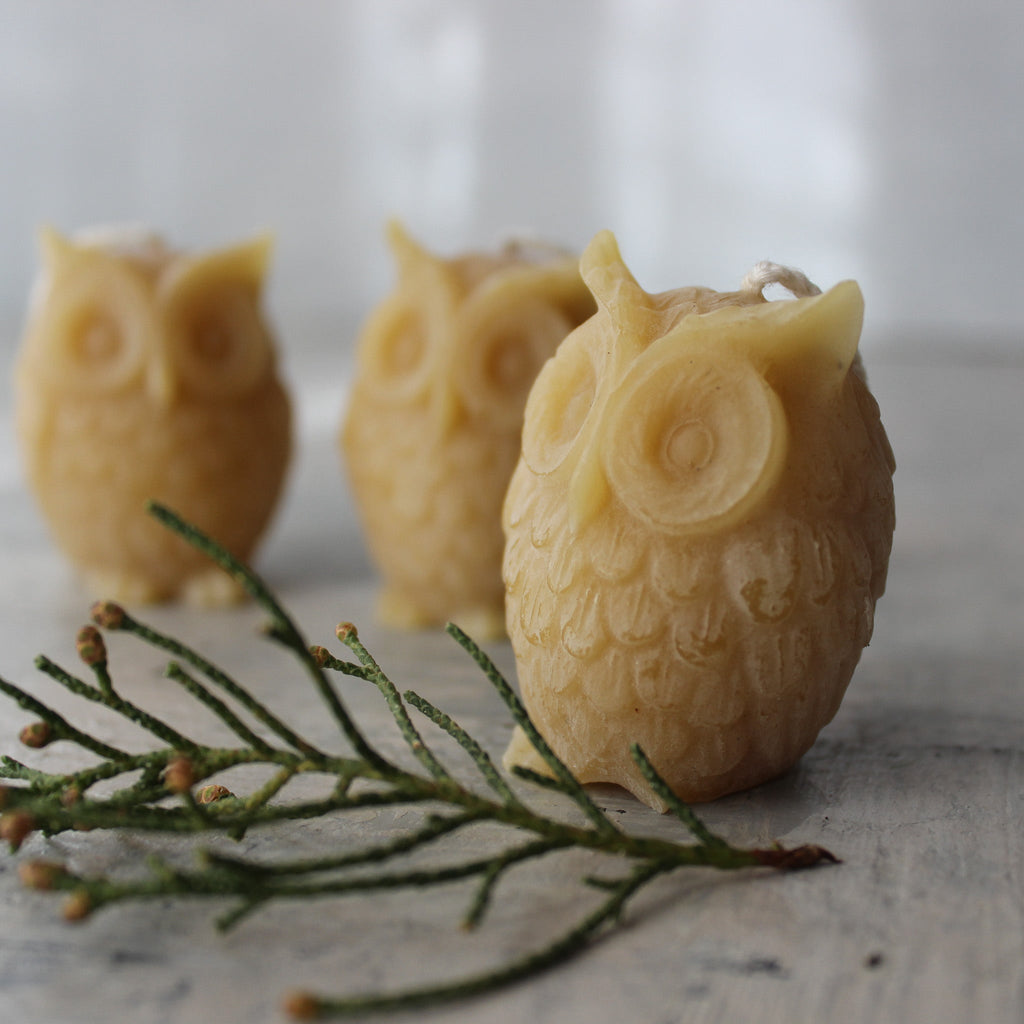 Baby Owl Beeswax Candles - Tribe Castlemaine