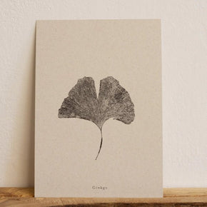 Botanical Art Prints by Alicia Breakspear - Tribe Castlemaine