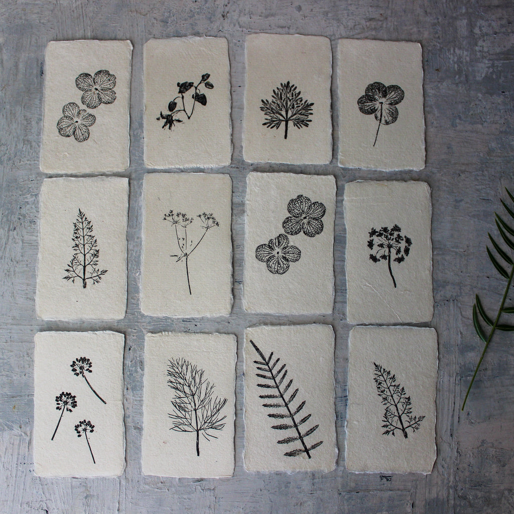 Botanical Monoprint Miniatures - Tribe Castlemaine