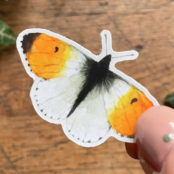 Butterfly Sticker Set - Tribe Castlemaine