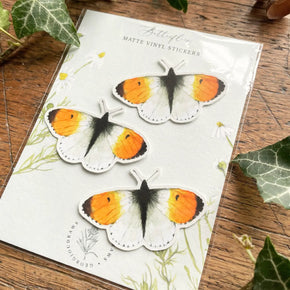 Butterfly Sticker Set - Tribe Castlemaine