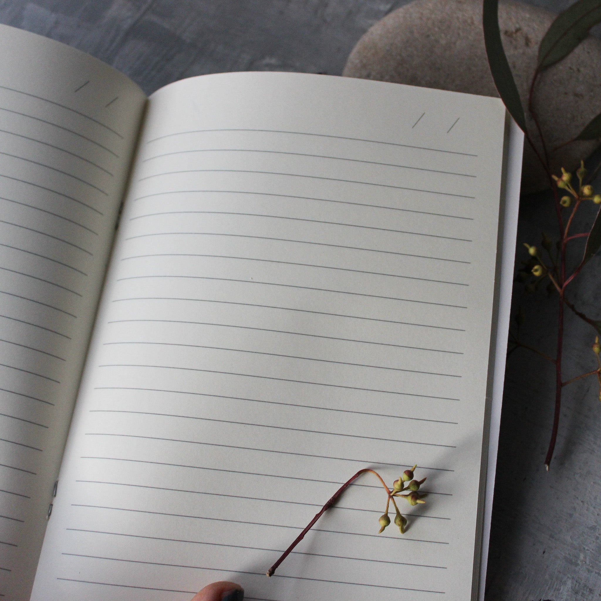 By the Waterhole A5 Notebook 3 - Pack - Tribe Castlemaine