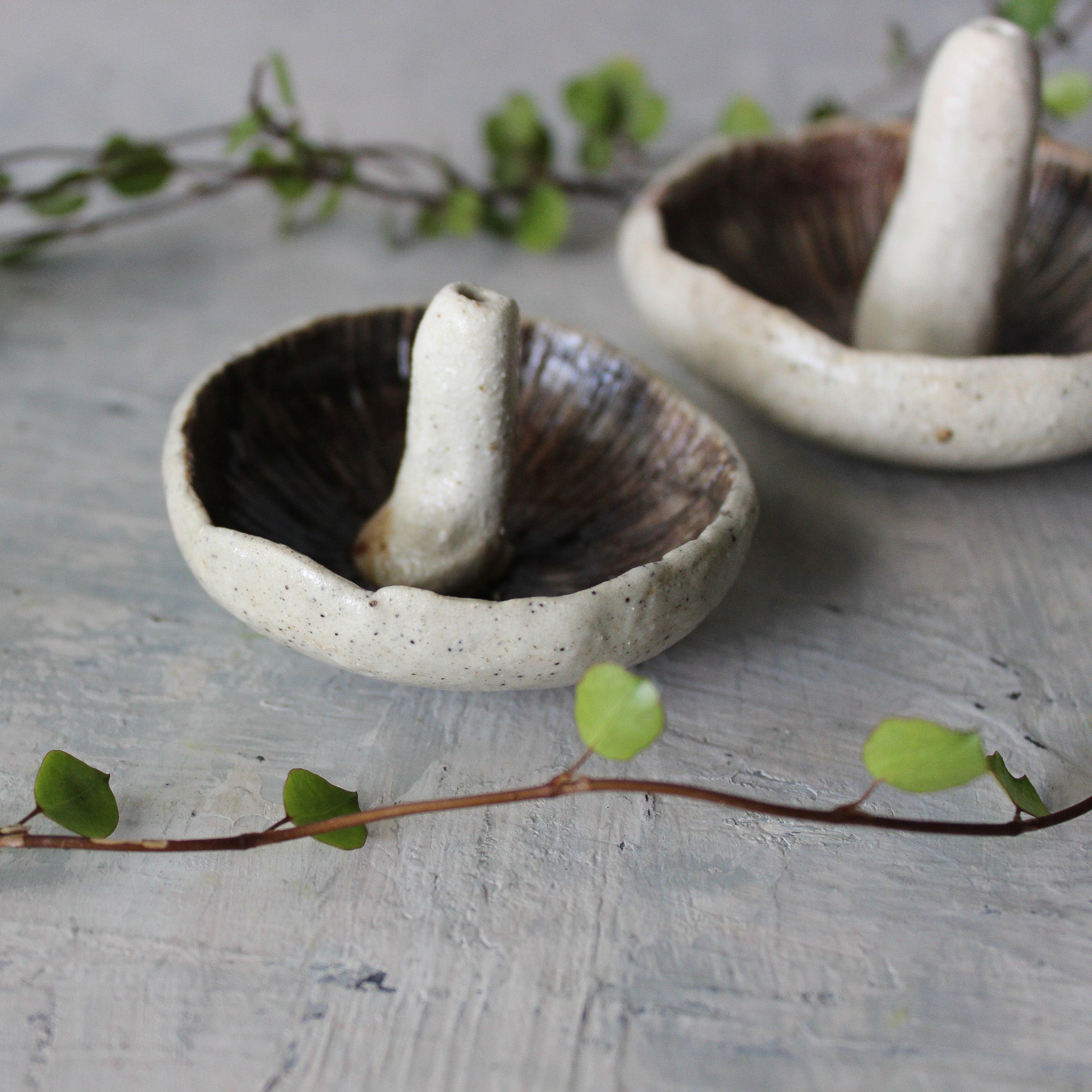 Ceramic Mushroom Specimen Keeper / Incense Holder Dishes - Tribe Castlemaine